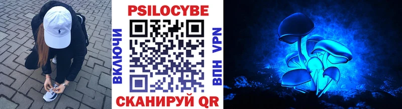 Псилоцибиновые грибы прущие грибы KRAKEN зеркало Эртиль